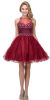 High Neck Bejeweled Bodice Mesh Short Homecoming Dress in Burgundy